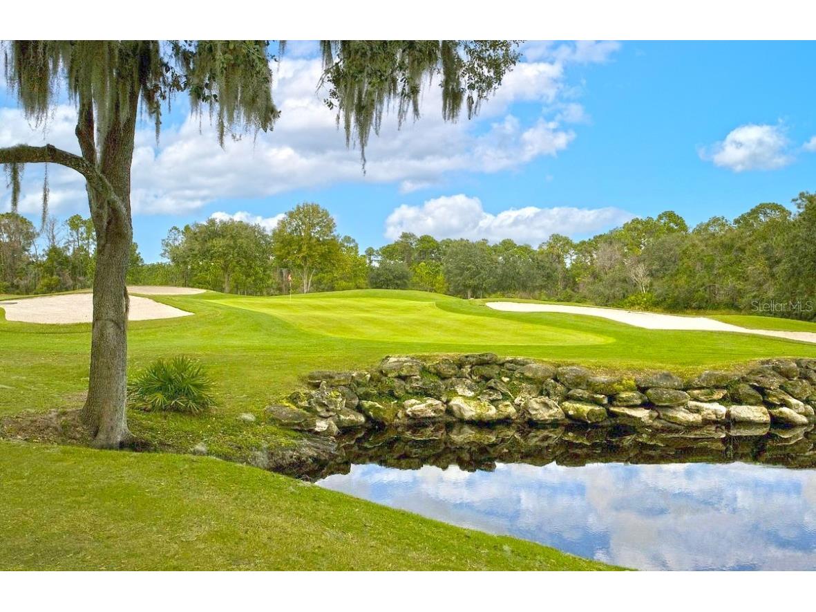 103 Camino Real Boulevard Howey In The Hills FL 34737 G5104836 image43