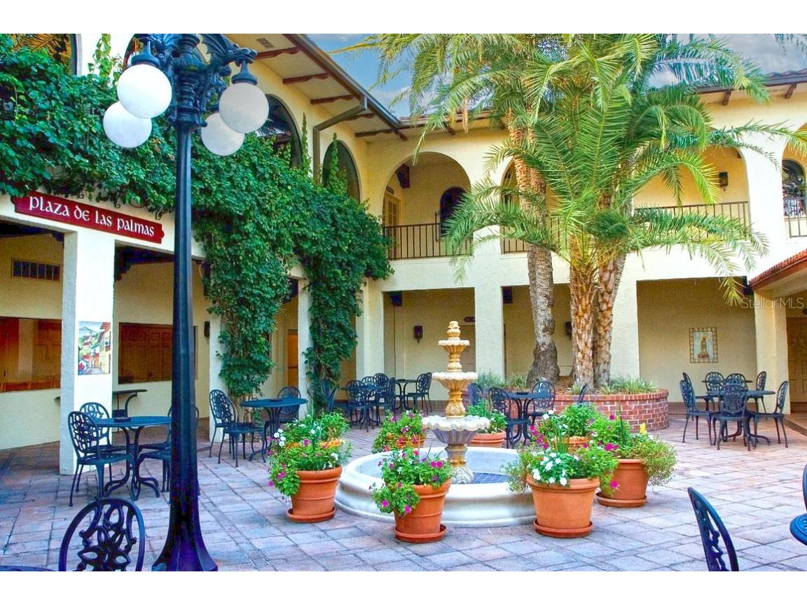 103 Camino Real Boulevard Howey In The Hills FL 34737 G5104836 image45