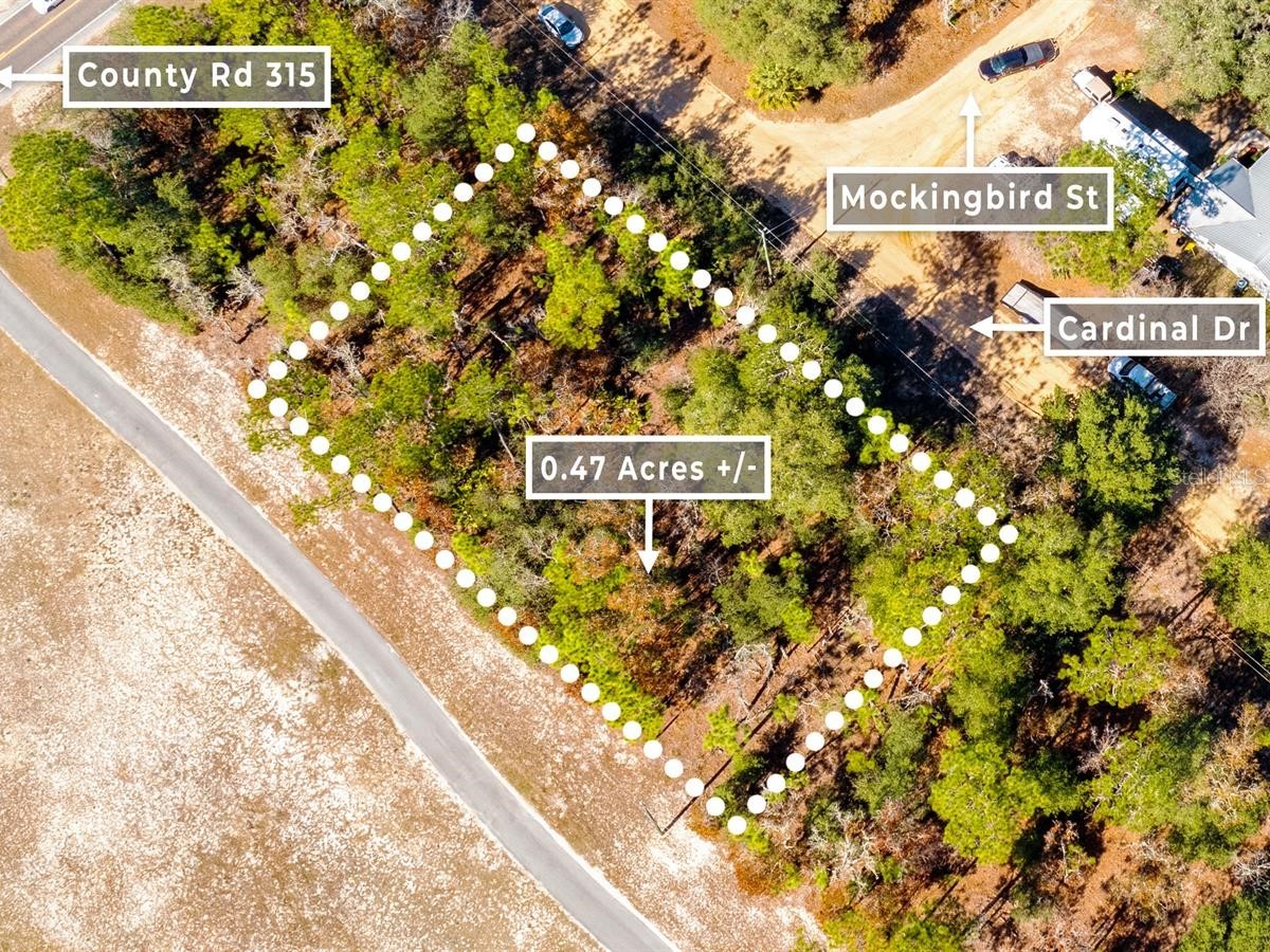 103 Cardinal Drive Interlachen FL 32148 J1001982 image1