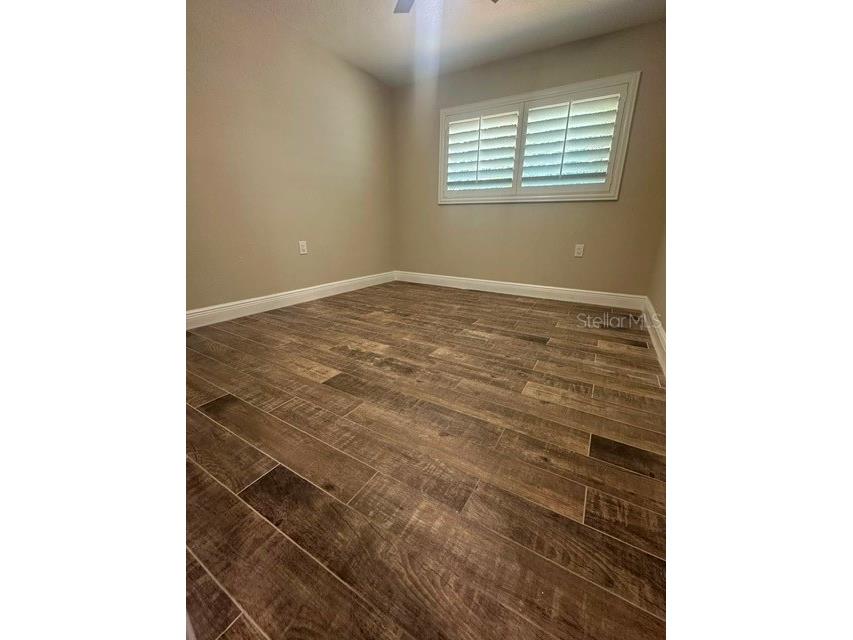 103 Carlyle Drive Palm Harbor FL 34683 W7886706 image14