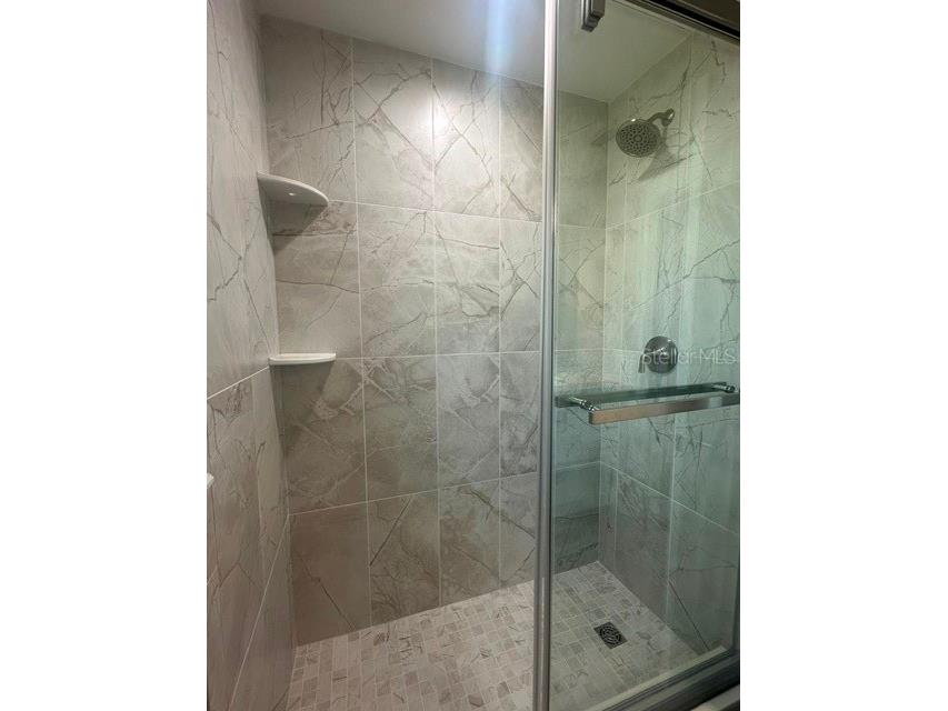 103 Carlyle Drive Palm Harbor FL 34683 W7886706 image20