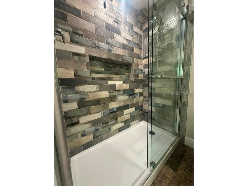 103 Carlyle Drive Palm Harbor FL 34683 W7886706 image25