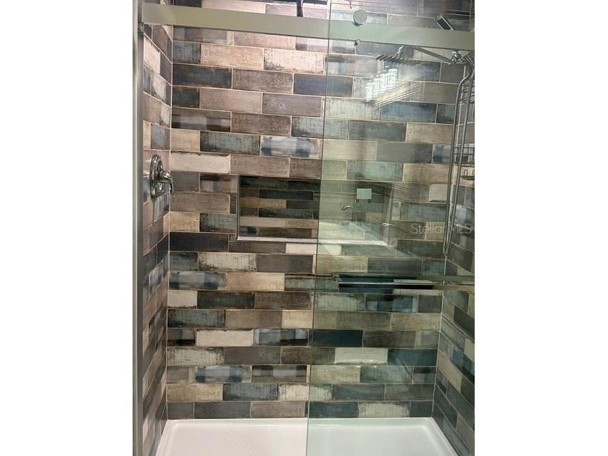 103 Carlyle Drive Palm Harbor FL 34683 W7886706 image26