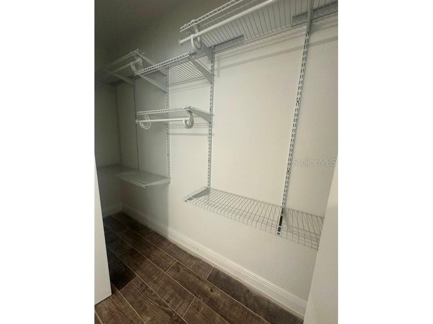 103 Carlyle Drive Palm Harbor FL 34683 W7886706 image28