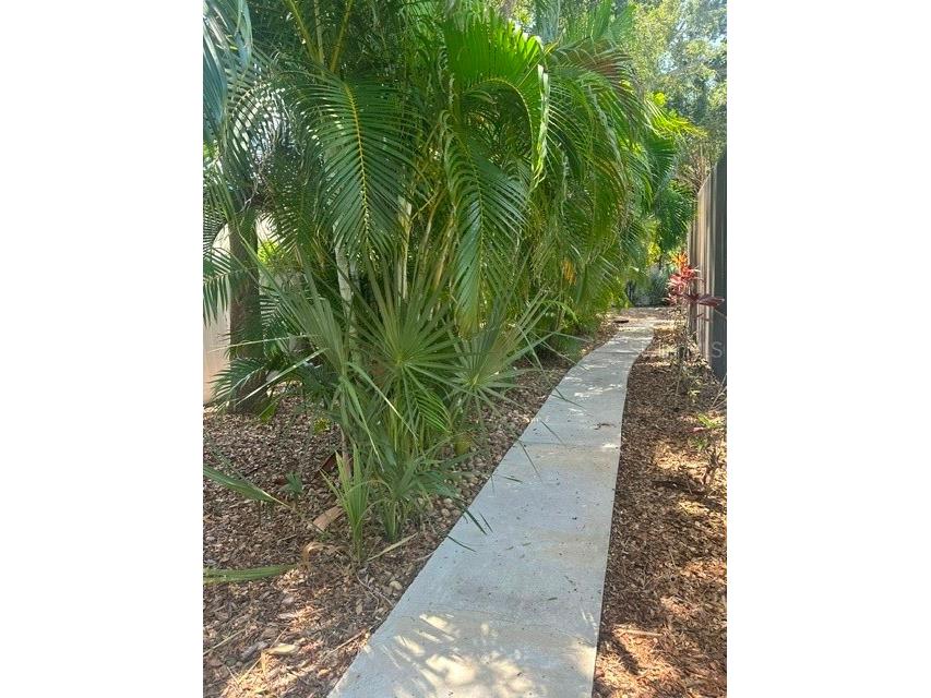 103 Carlyle Drive Palm Harbor FL 34683 W7886706 image38