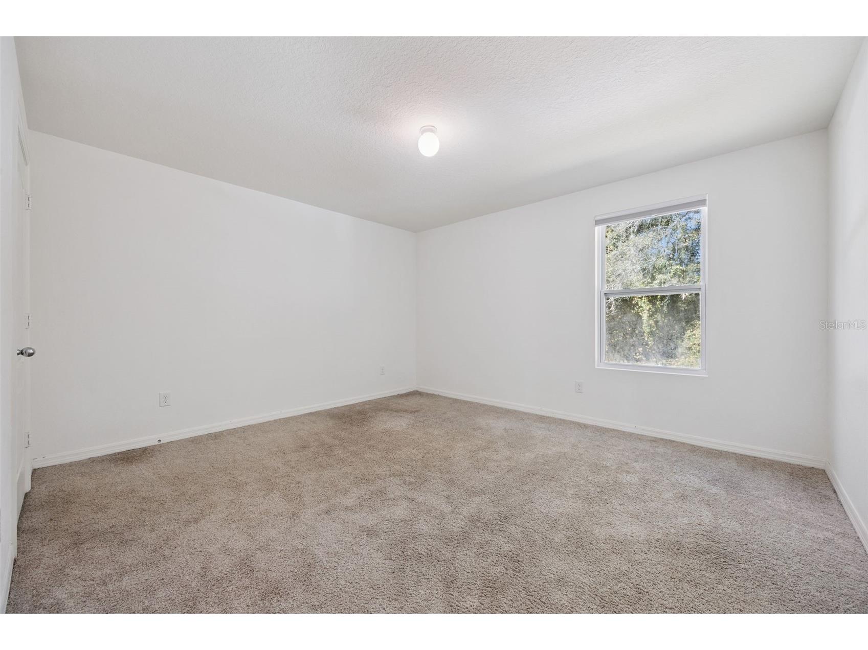 103 Cinnamon Oak Drive Deland FL 32724 O6362193 image20