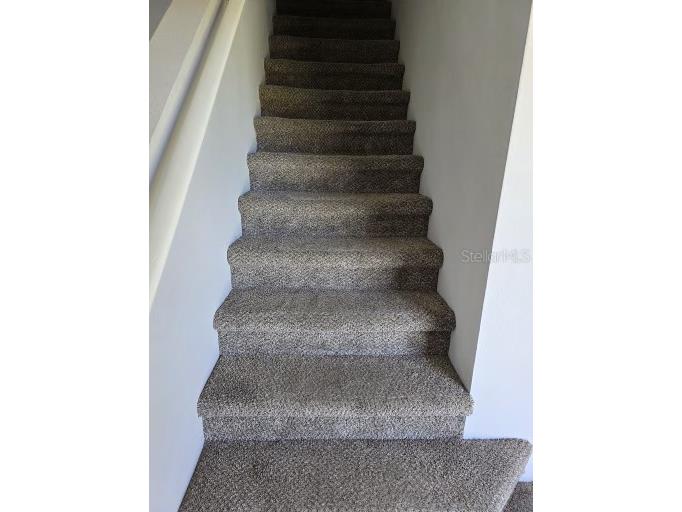 103 Coconut Palm Way Davenport FL 33897 S5151757 image10