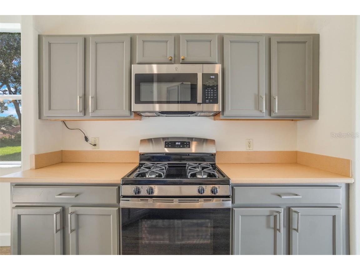 103 Crescent Moon Drive Groveland FL 34736 O6333177 image9