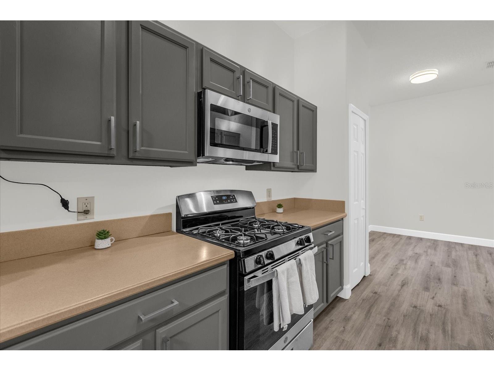 103 Crescent Moon Drive Groveland FL 34736 O6379856 image9