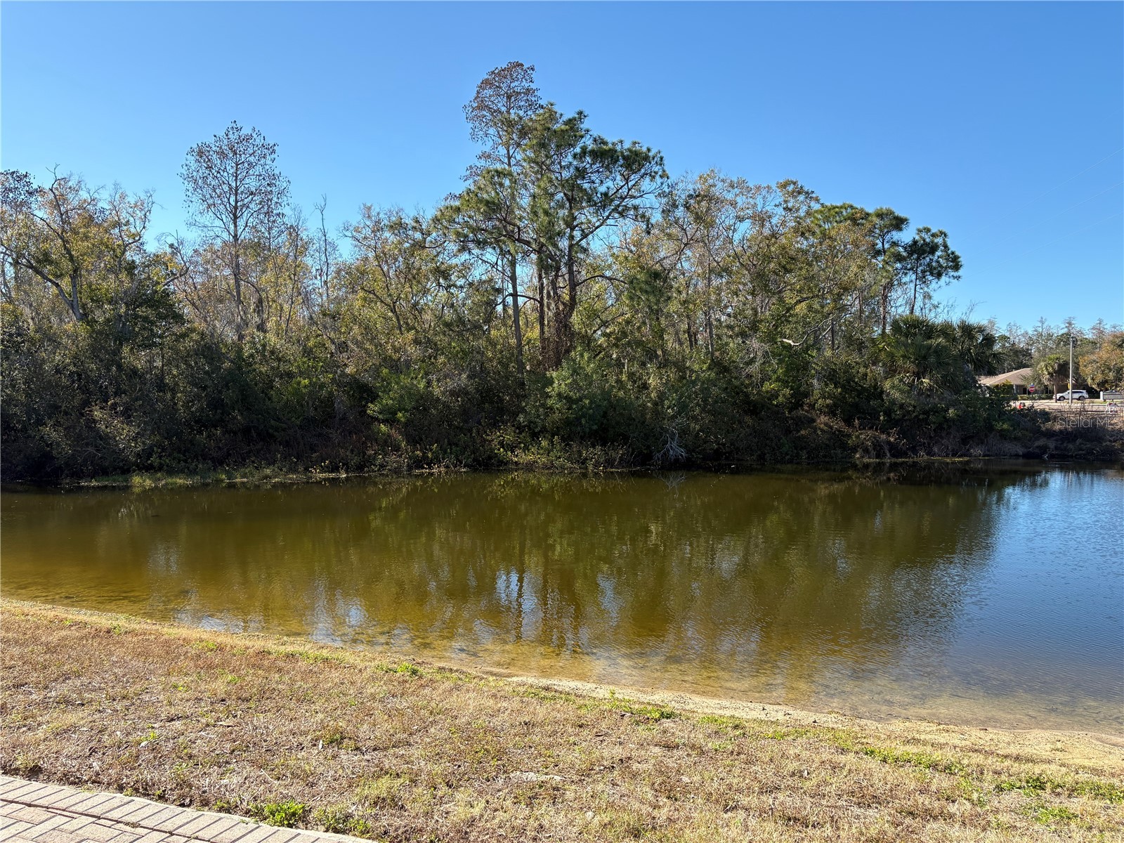 103 Cutlass Way Oldsmar FL 34677 TB8482252 image19