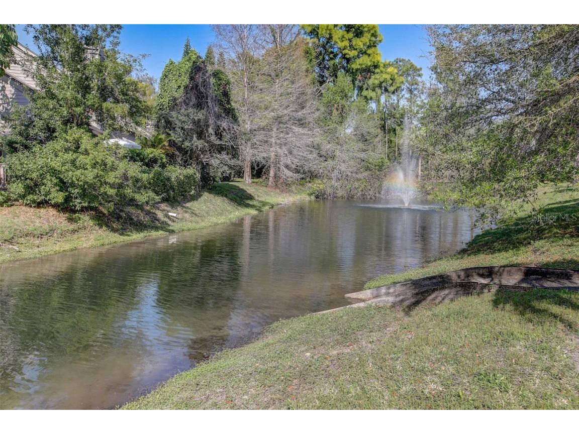 103 Cypress Pond Road #103 Palm Harbor FL 34683 TB8449932 image12