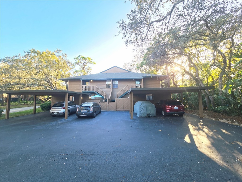 103 Cypress Pond Road #103 Palm Harbor FL 34683 TB8449932 image13