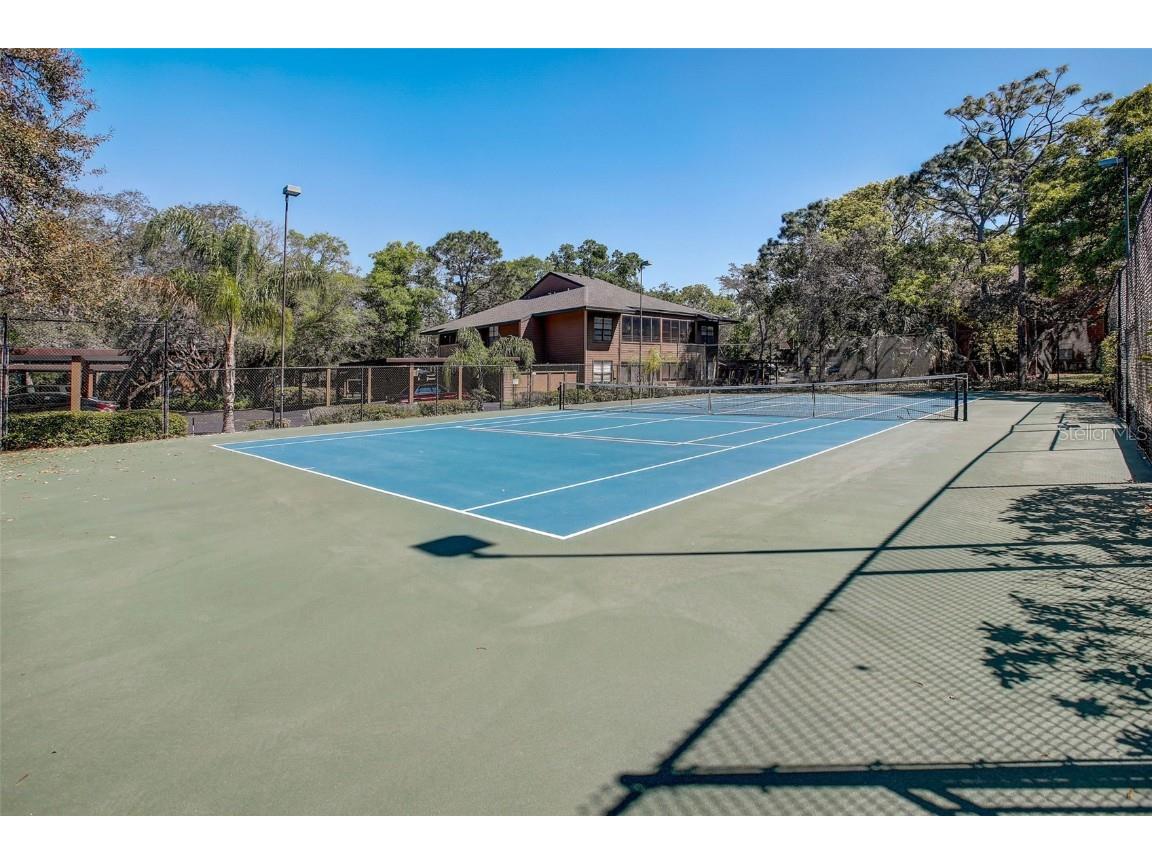 103 Cypress Pond Road #103 Palm Harbor FL 34683 TB8449932 image43