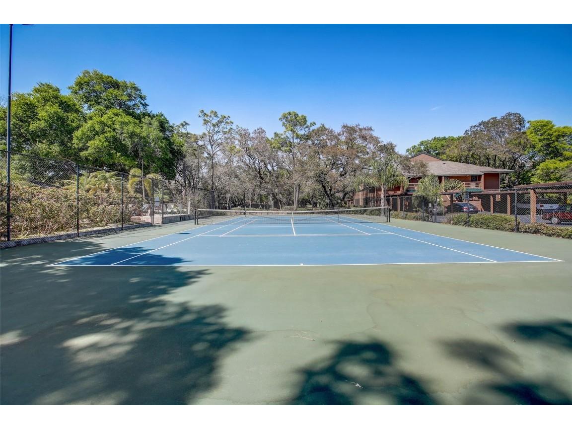 103 Cypress Pond Road #103 Palm Harbor FL 34683 TB8449932 image49