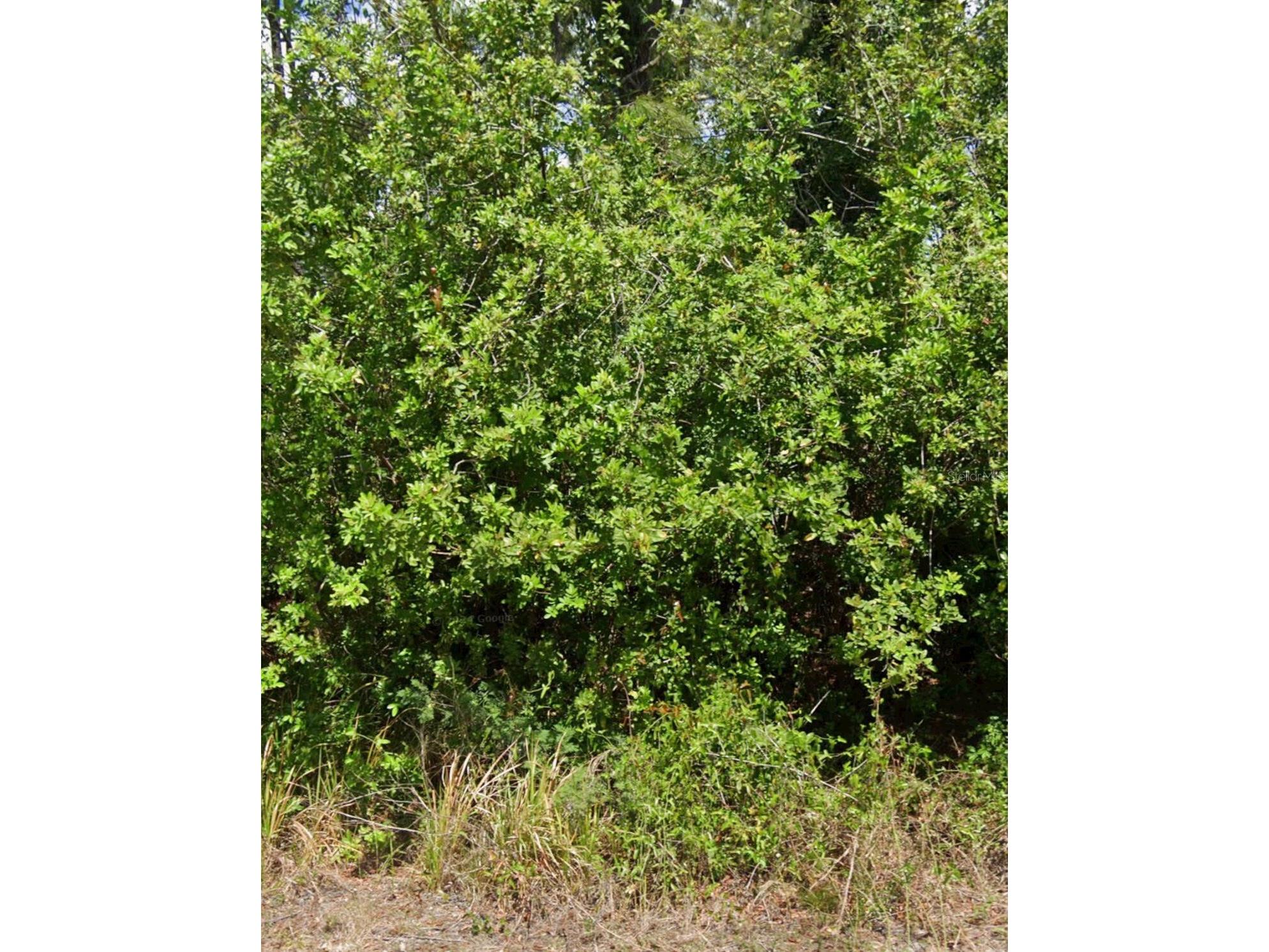 103 Dakota Street NW Lake Placid FL 33852 O6390796 image1