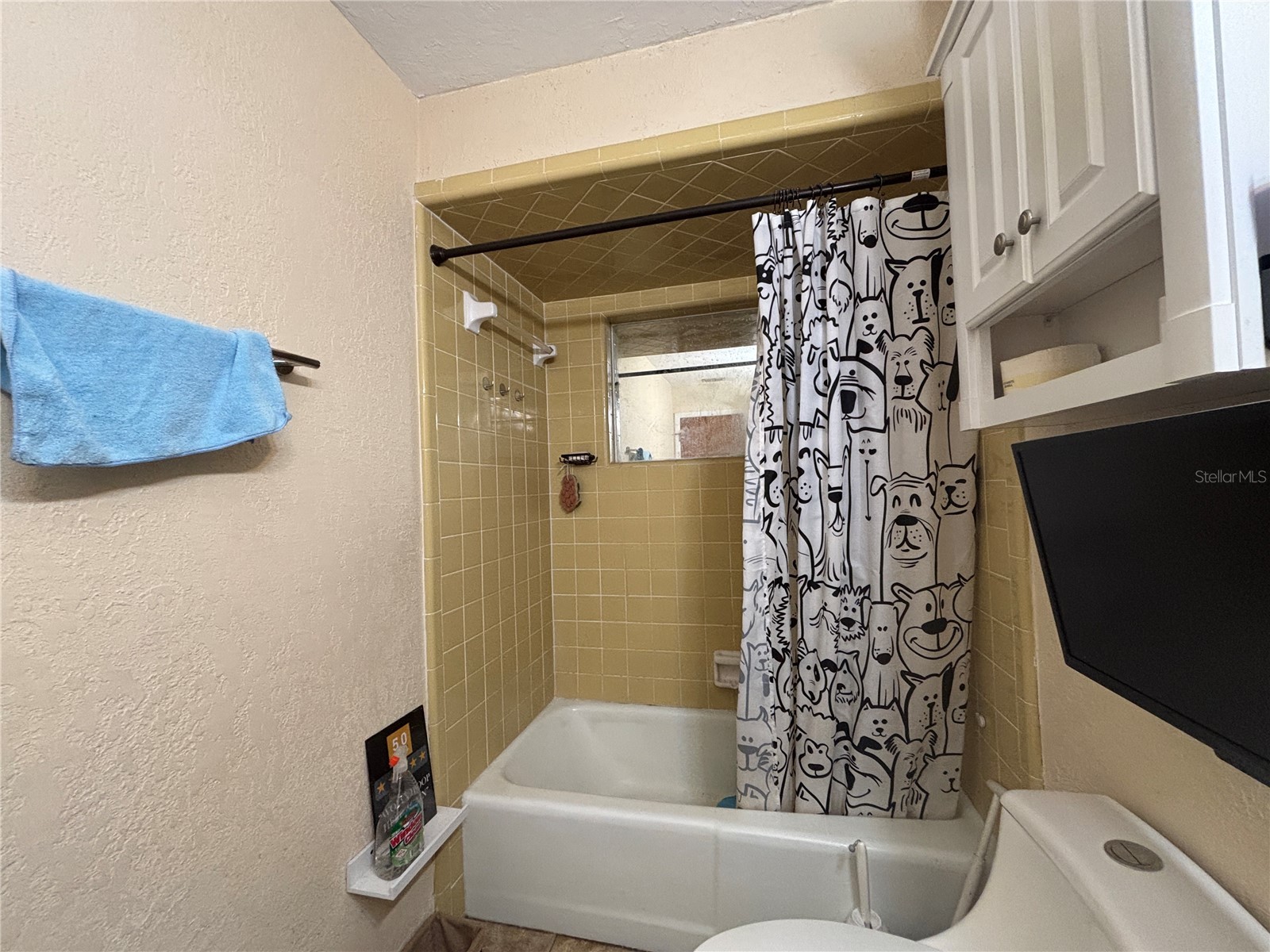 103 Davis Street Auburndale FL 33823 L4960131 image17