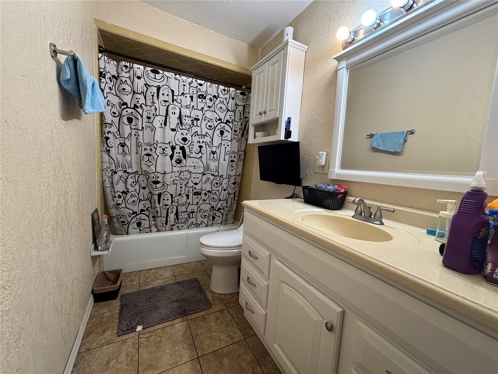 103 Davis Street Auburndale FL 33823 L4960131 image19