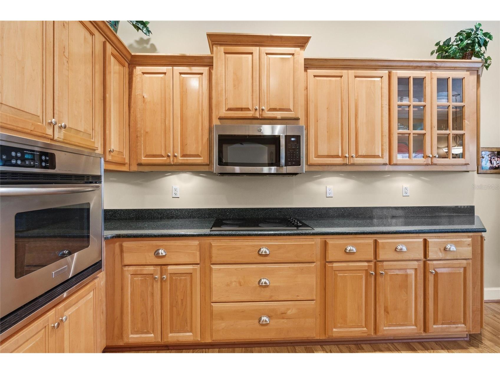 103 Deep Lake Trail Melrose FL 32666 GC538950 image24