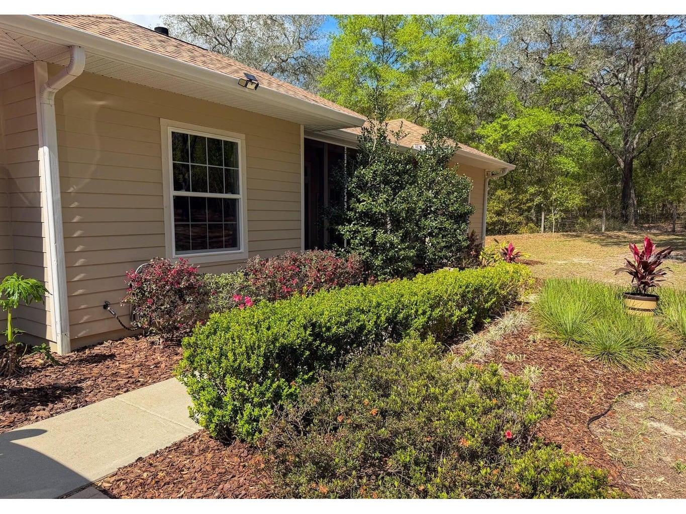 103 Deep Lake Trail Melrose FL 32666 GC538950 image4