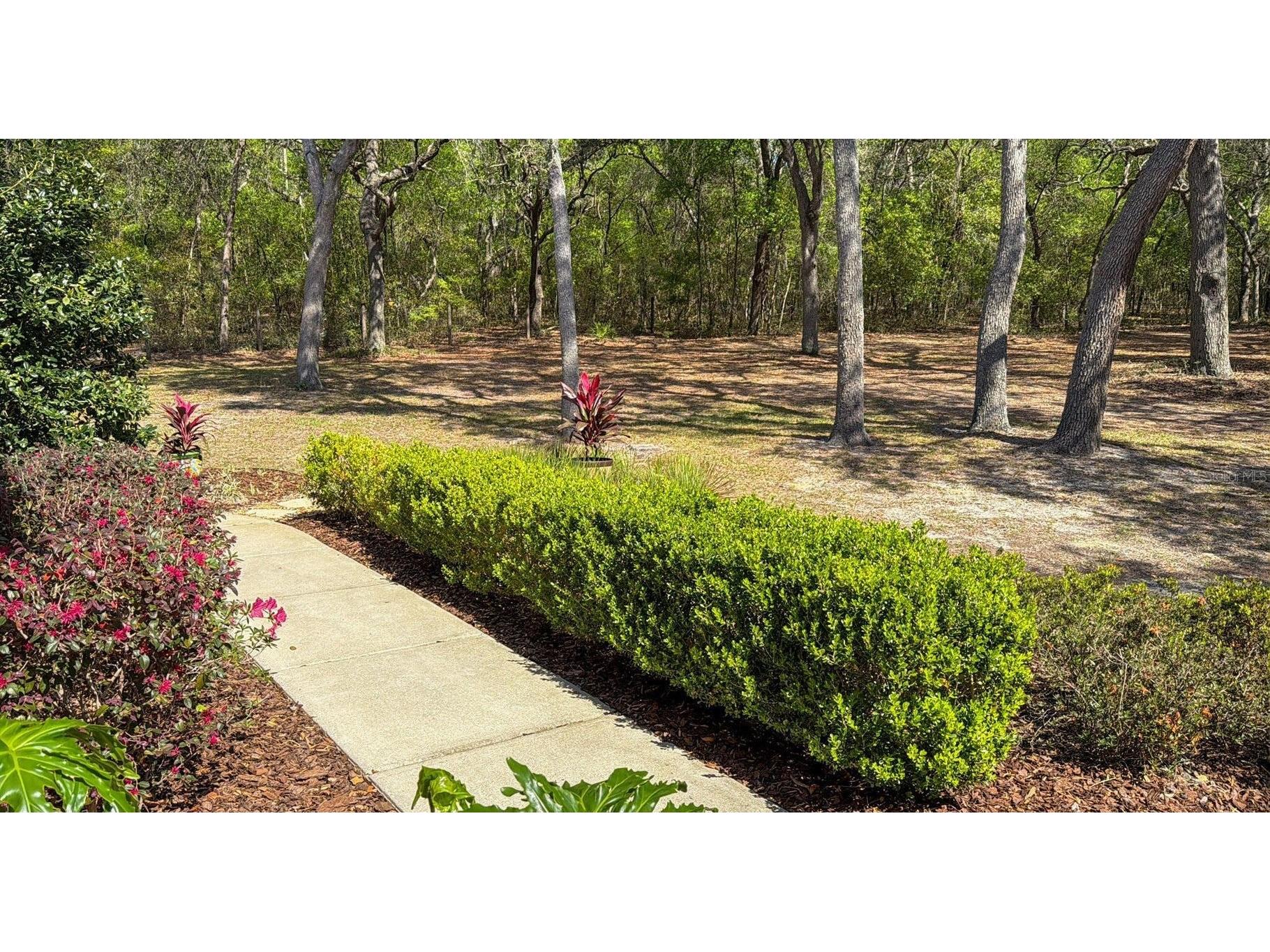 103 Deep Lake Trail Melrose FL 32666 GC538950 image5