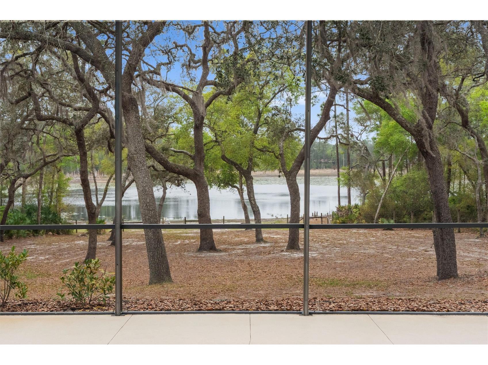 103 Deep Lake Trail Melrose FL 32666 GC538950 image57
