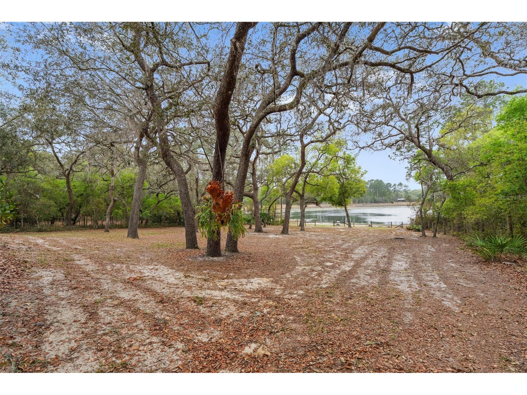 103 Deep Lake Trail Melrose FL 32666 GC538950 image58