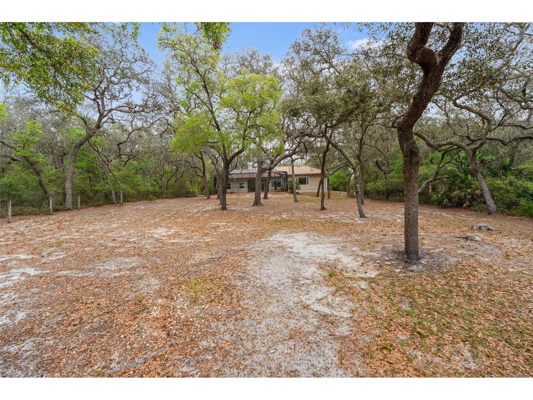 103 Deep Lake Trail Melrose FL 32666 GC538950 image59