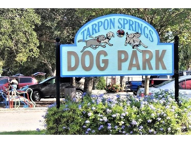 103 E Park Street Tarpon Springs FL 34689 TB8464331 image42