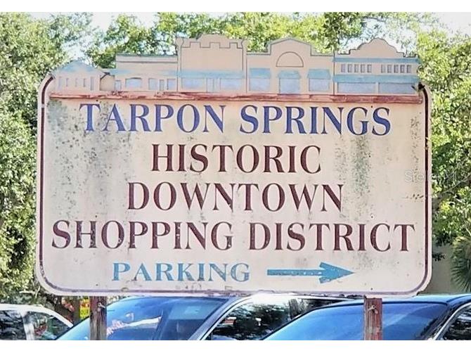 103 E Park Street Tarpon Springs FL 34689 TB8464331 image43