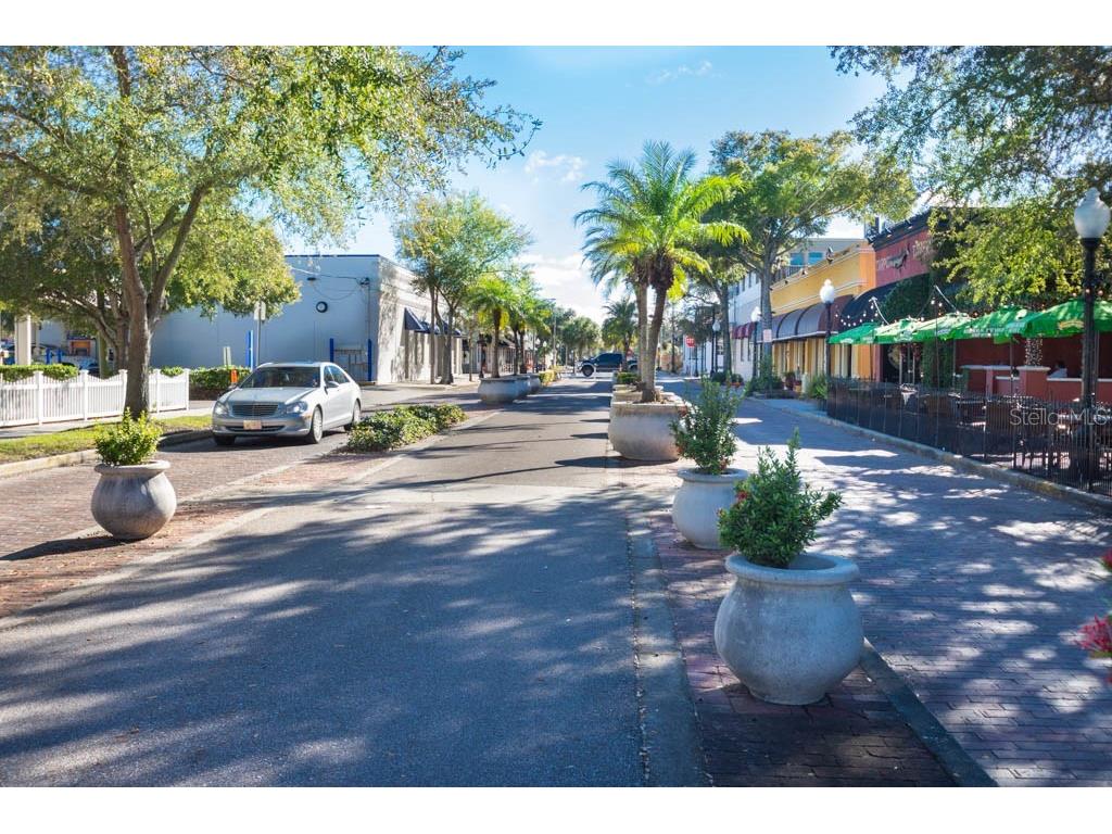 103 E Park Street Tarpon Springs FL 34689 TB8464331 image46