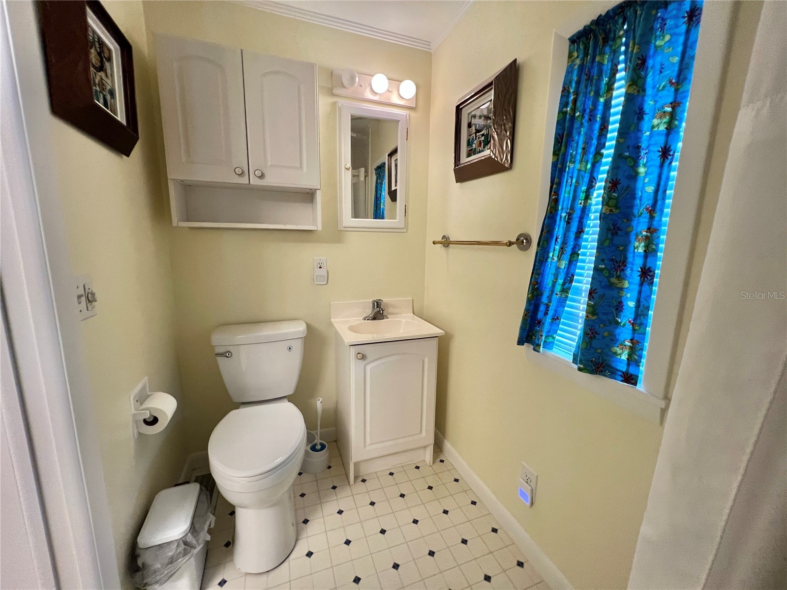 103 Fountain Cove Leesburg FL 34748 G5105813 image38