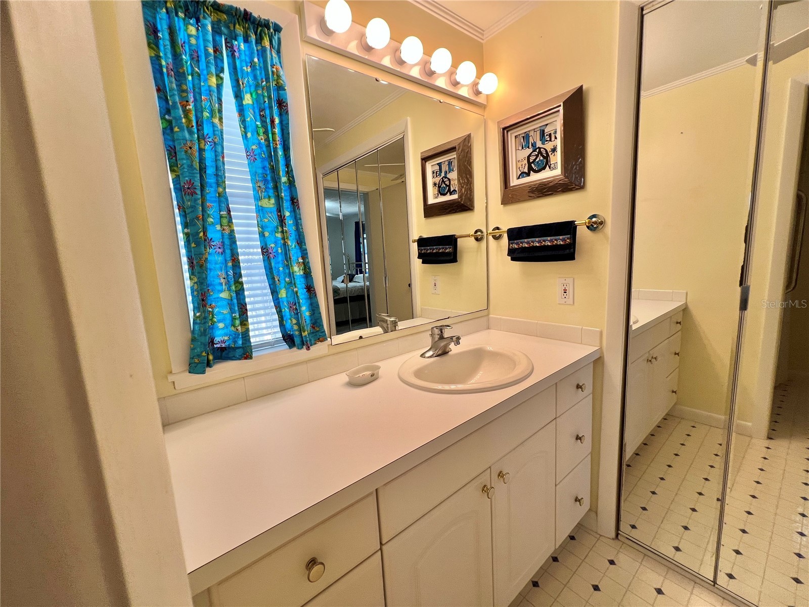 103 Fountain Cove Leesburg FL 34748 G5105813 image41