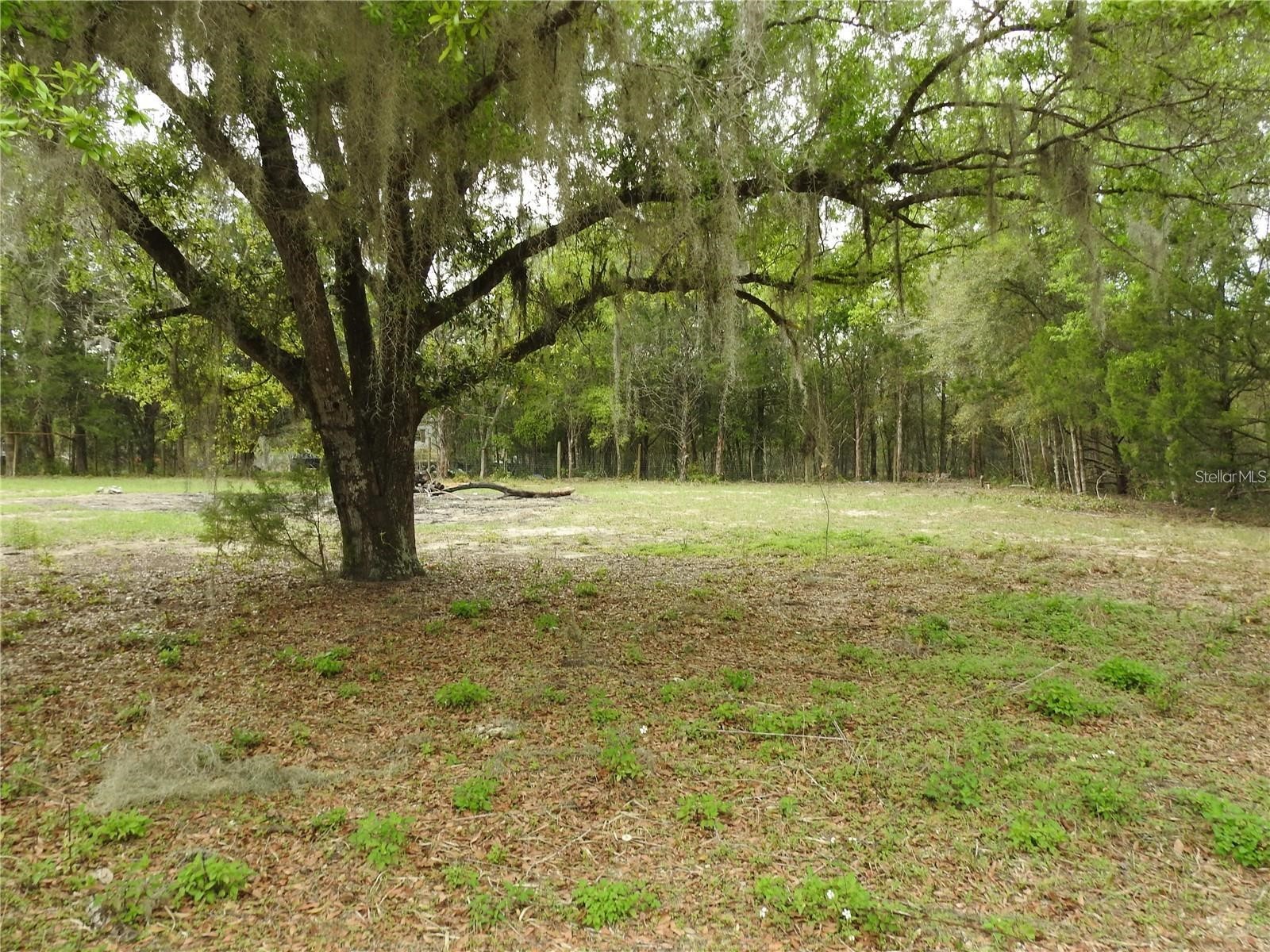 103 George Drive Interlachen FL 32148 A4692333 image6