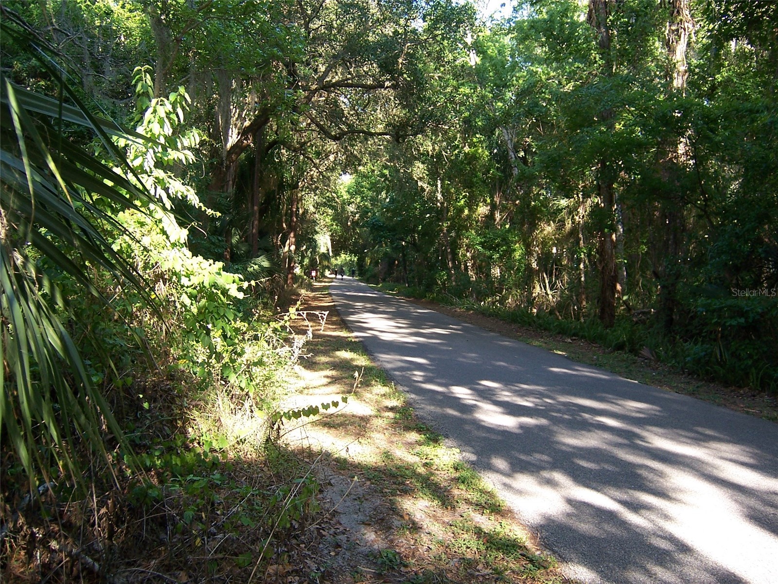 103 Golden Crest Court Winter Springs FL 32708 O6401848 image22