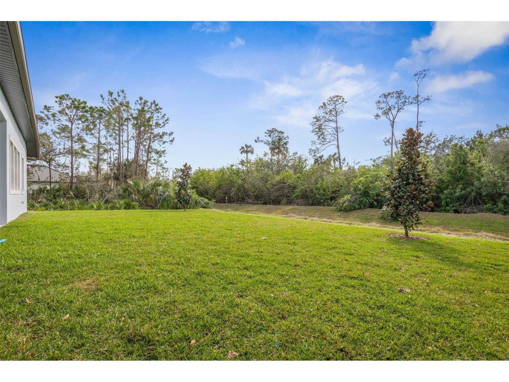 103 Heron Drive Palm Coast FL 32137 FC317078 image45