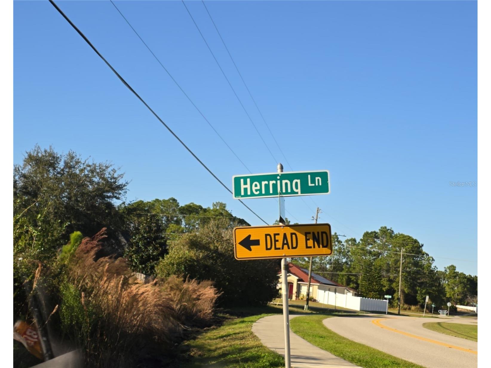 103 Herring Lane Kissimmee FL 34759 S5144489 image1