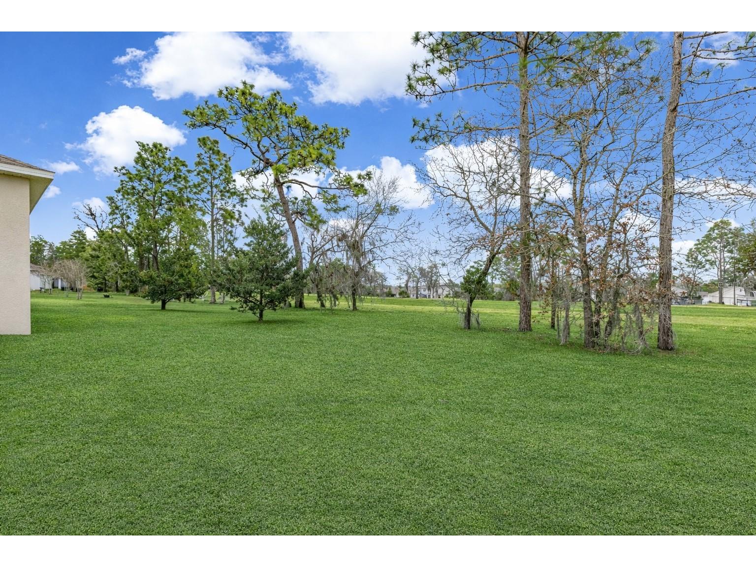 103 Hickory Course Ocala FL 34472 OM719912 image30