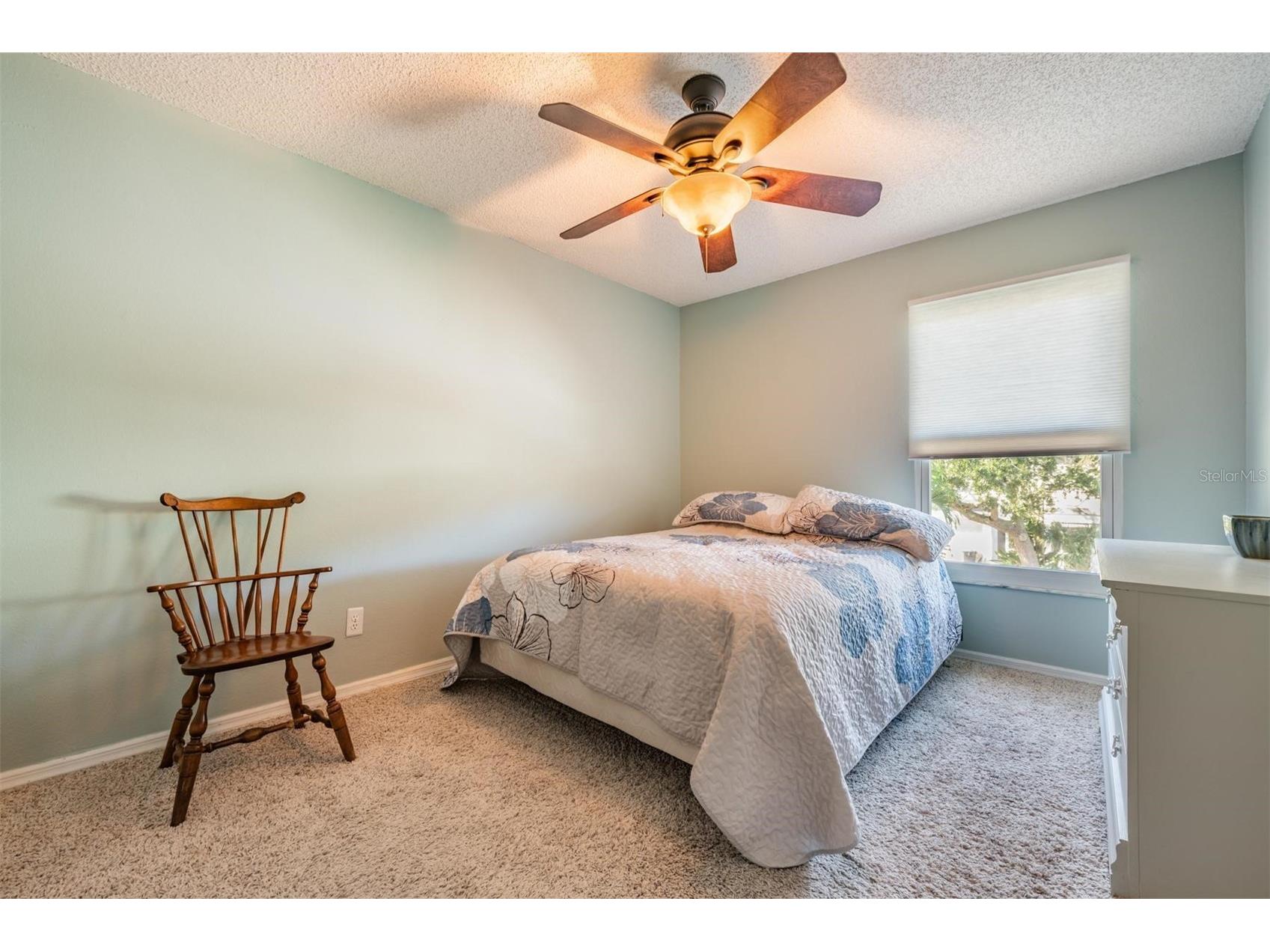 103 Kathleen Court Tarpon Springs FL 34689 TB8459884 image17