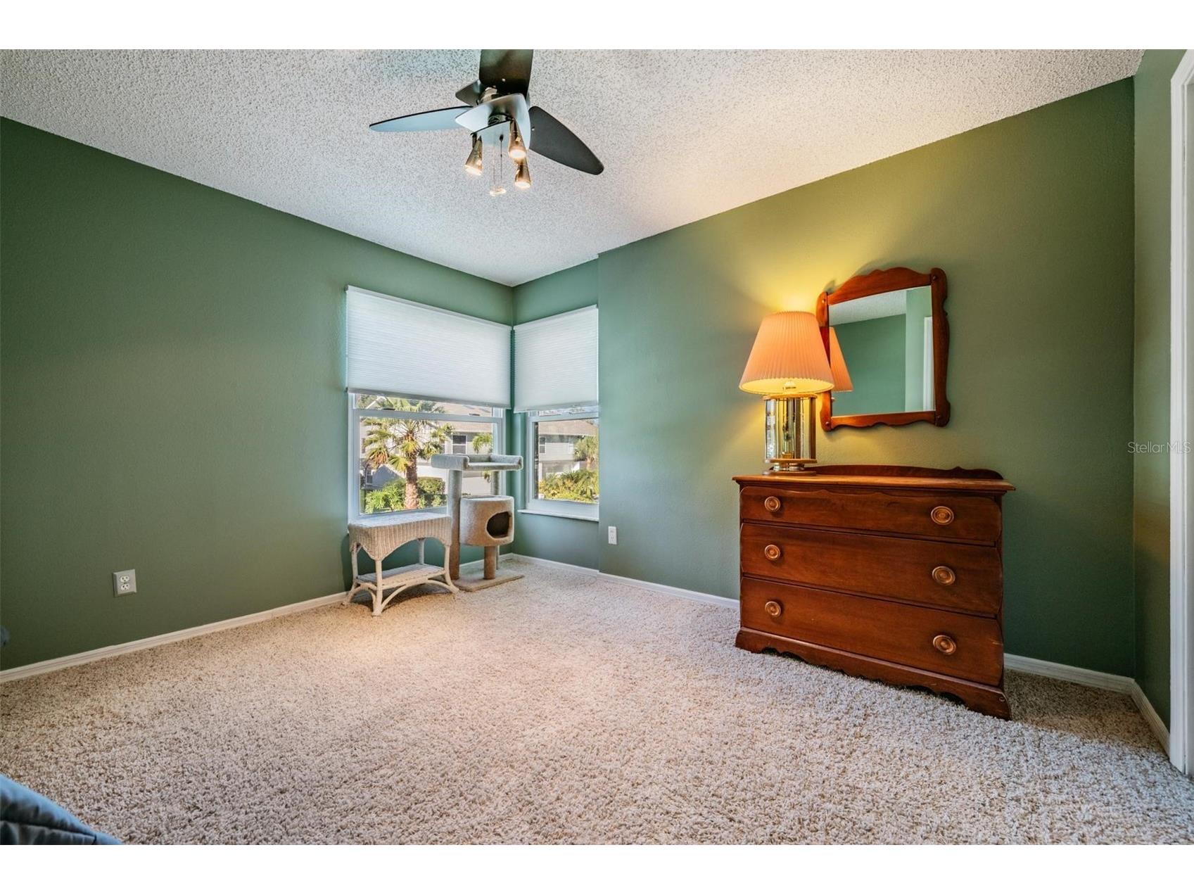 103 Kathleen Court Tarpon Springs FL 34689 TB8459884 image19