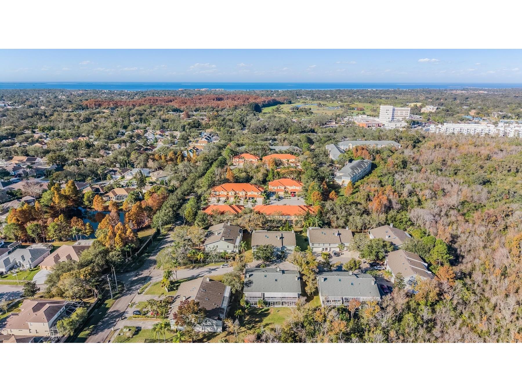 103 Kathleen Court Tarpon Springs FL 34689 TB8459884 image37