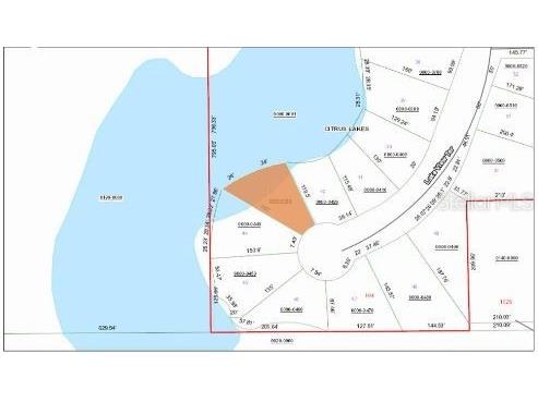 103 Lake View Terrace Crescent City FL 32112 O6231633 image3