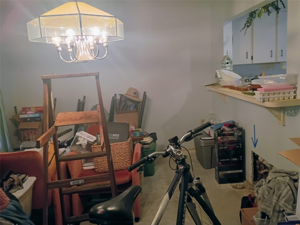 103 Lakeside Colony Drive Tarpon Springs FL 34689 TB8447015 image6