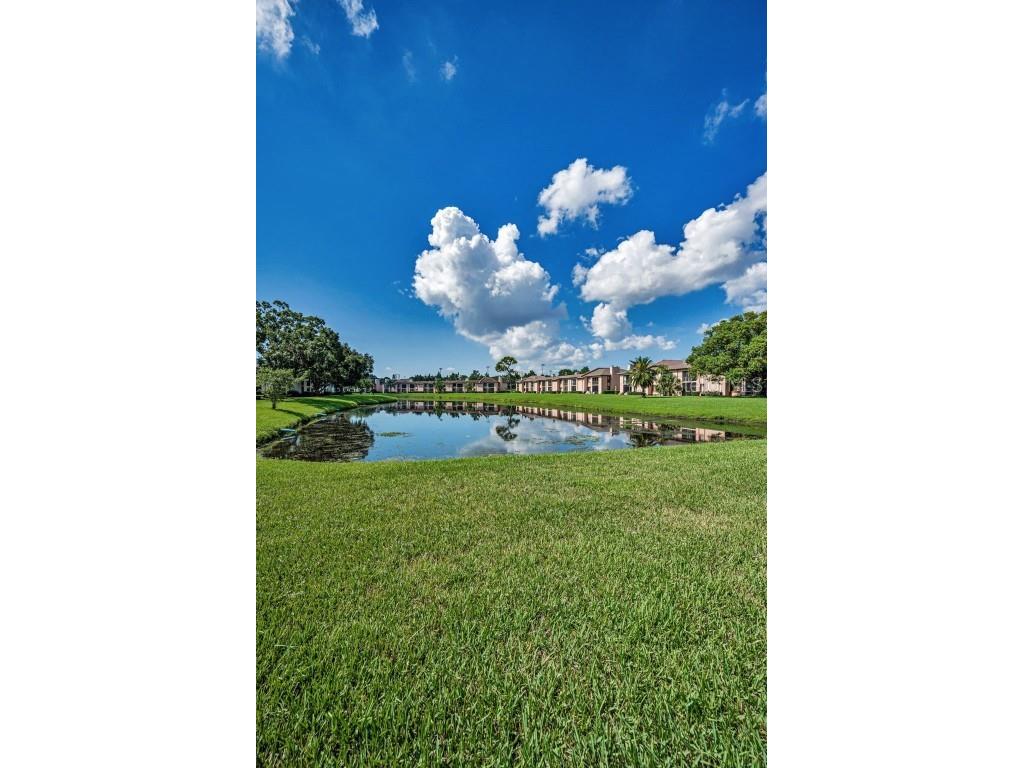 103 Lakeview Place #3 Oldsmar FL 34677 TB8423589 image36