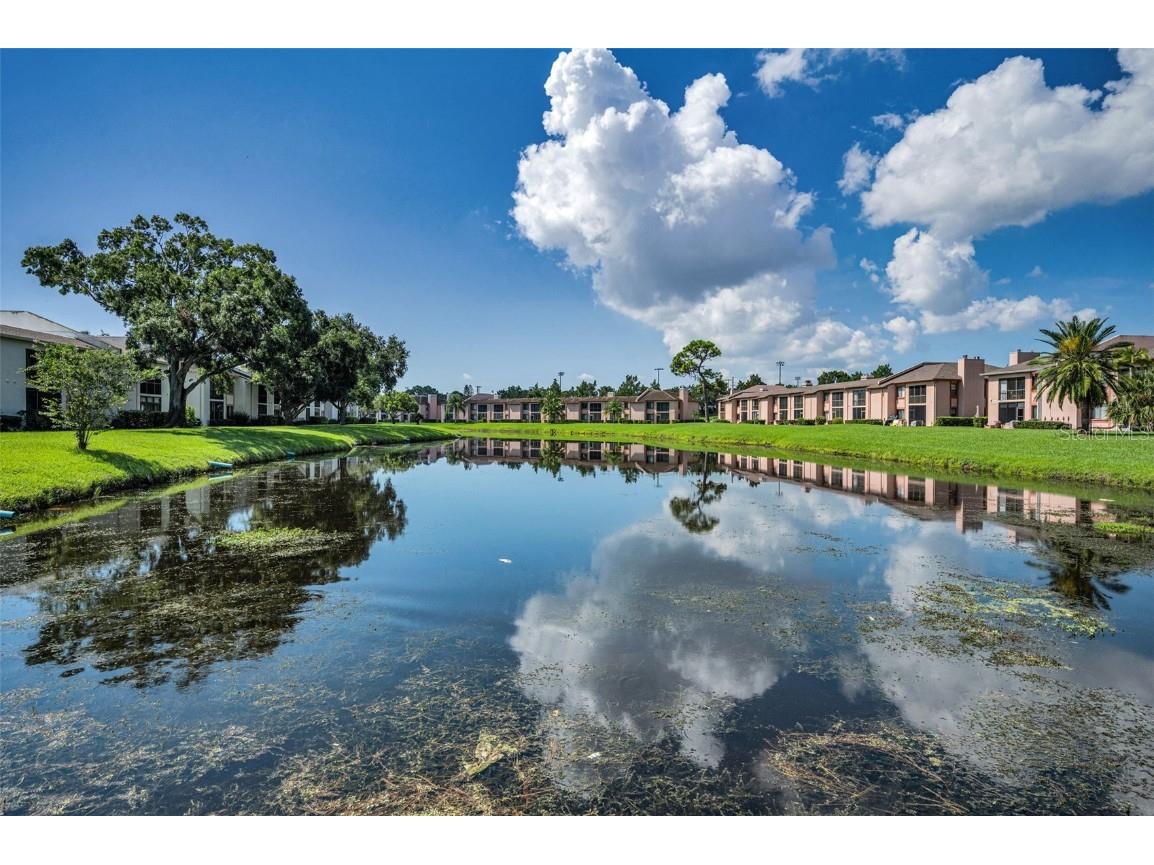 103 Lakeview Place #3 Oldsmar FL 34677 TB8423589 image37