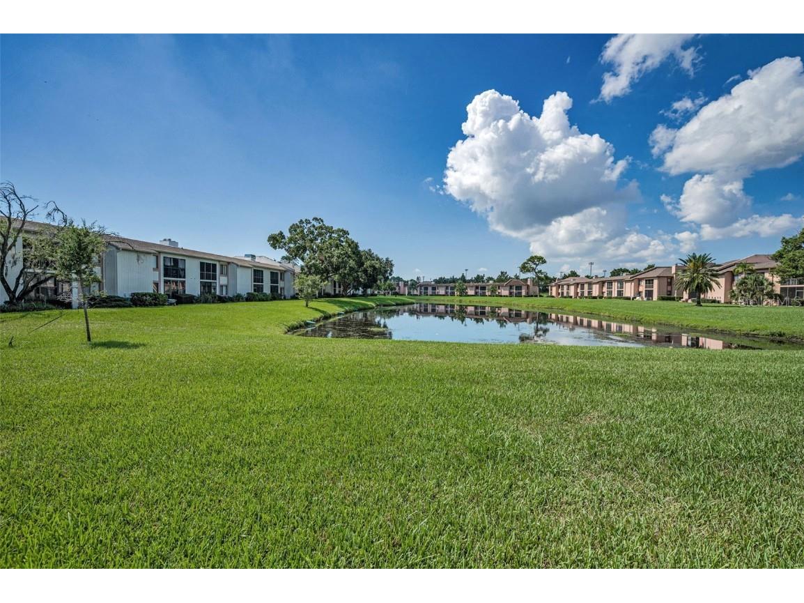 103 Lakeview Place #3 Oldsmar FL 34677 TB8423589 image38