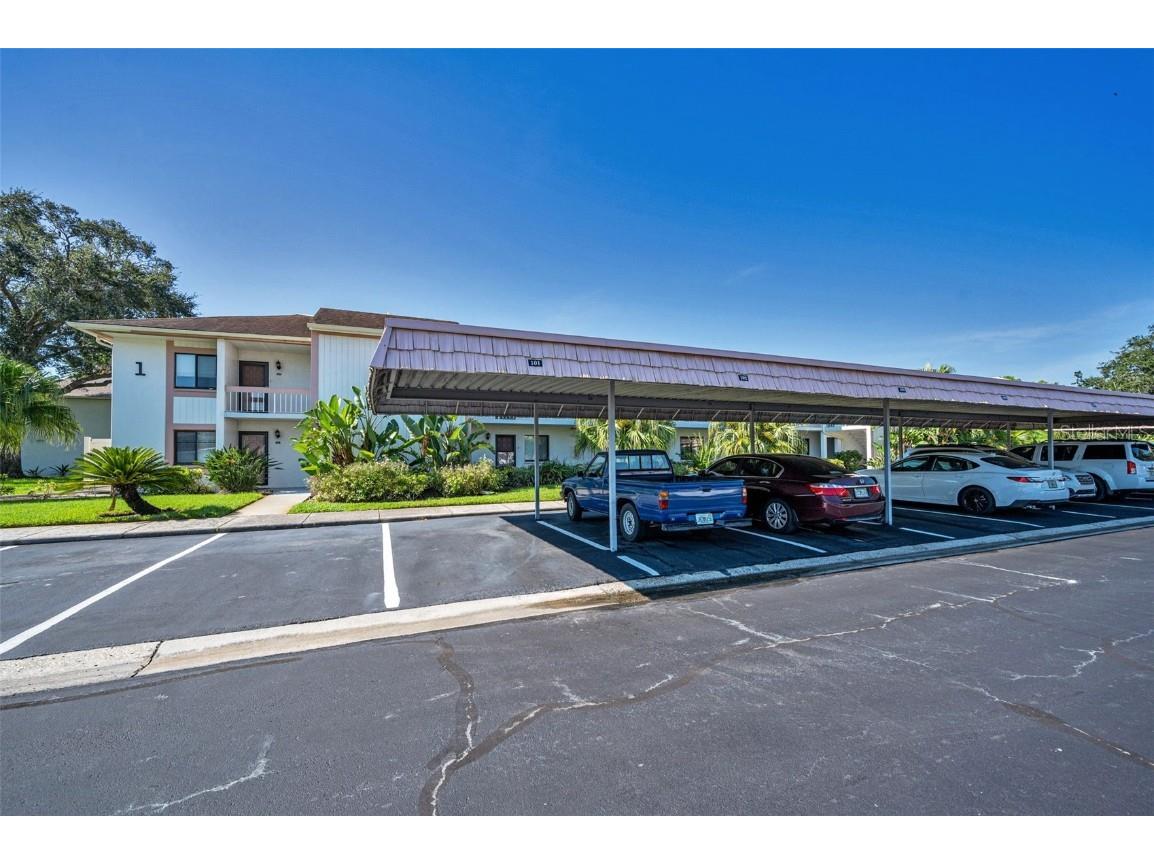 103 Lakeview Place #3 Oldsmar FL 34677 TB8423589 image5