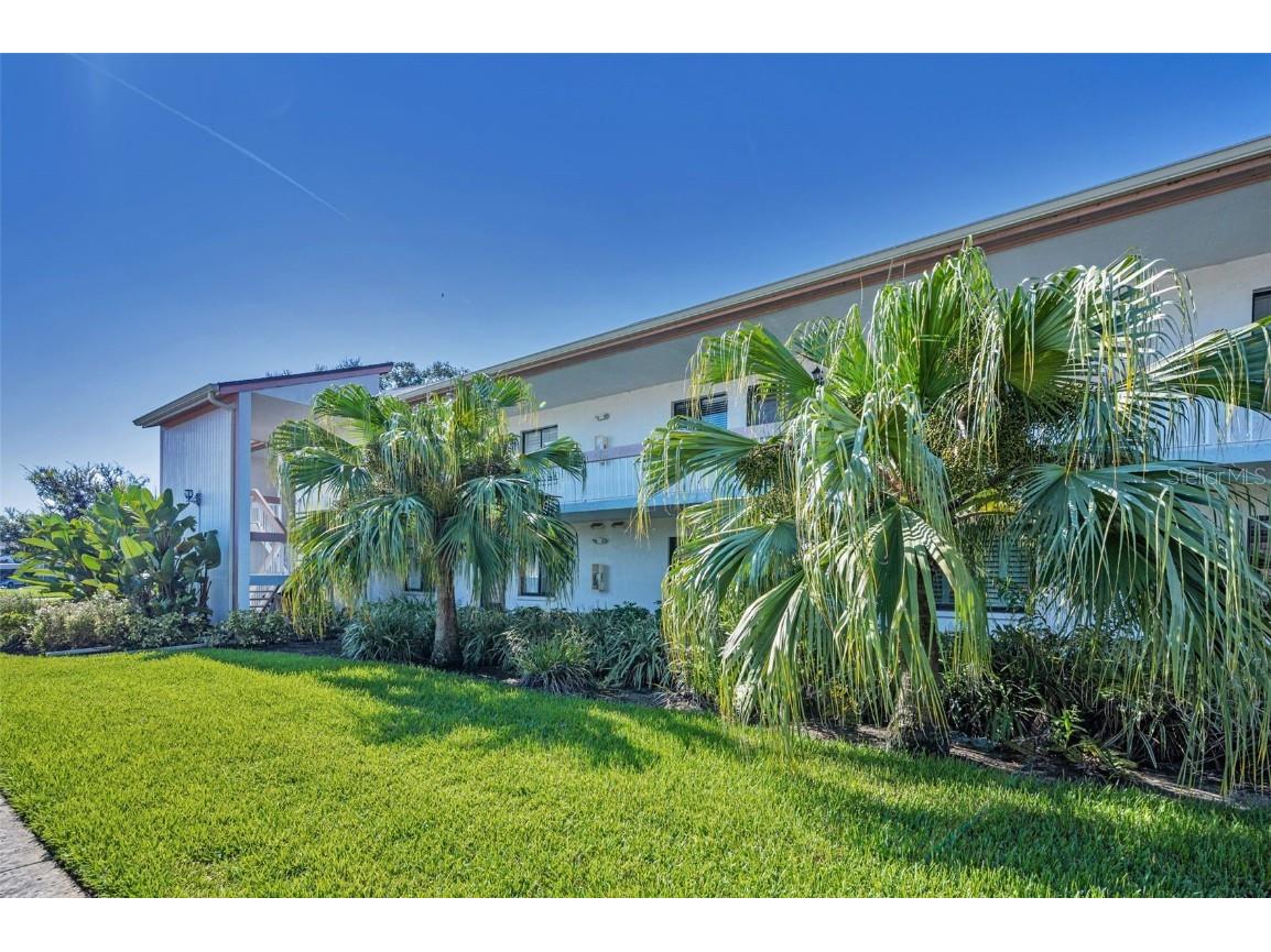 103 Lakeview Place #3 Oldsmar FL 34677 TB8423589 image6
