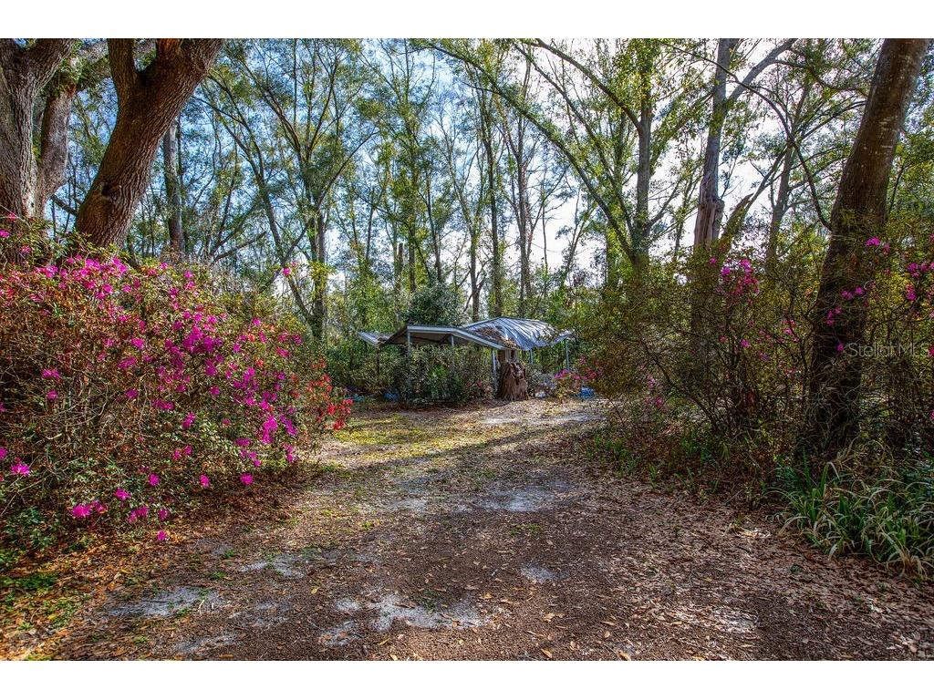 103 NE Suwannee River Drive Mayo FL 32066 - SUWANNEE RIVER GC537847 image29