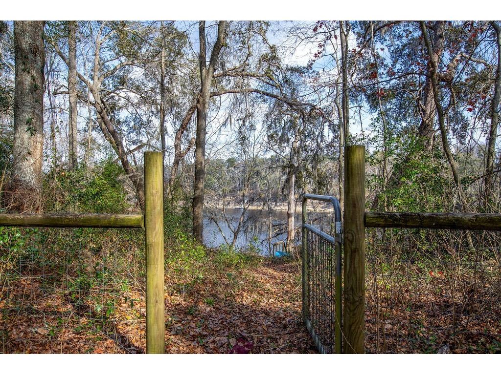103 NE Suwannee River Drive Mayo FL 32066 - SUWANNEE RIVER GC537847 image30