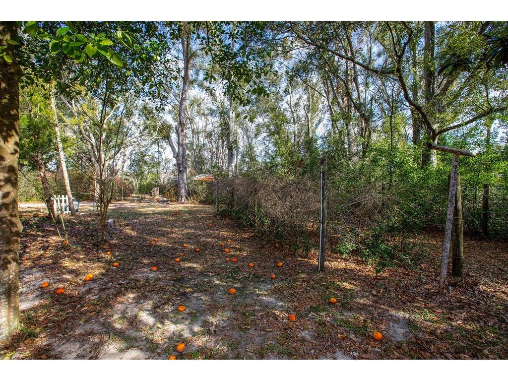 103 NE Suwannee River Drive Mayo FL 32066 - SUWANNEE RIVER GC537847 image32
